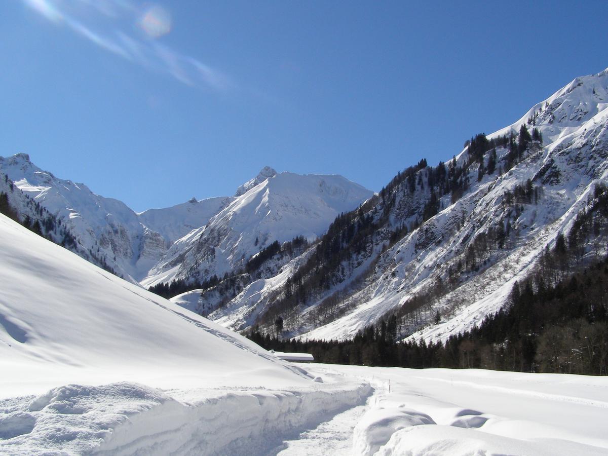 Landhaus Spielmannsau Oberstdorf Kültér fotó